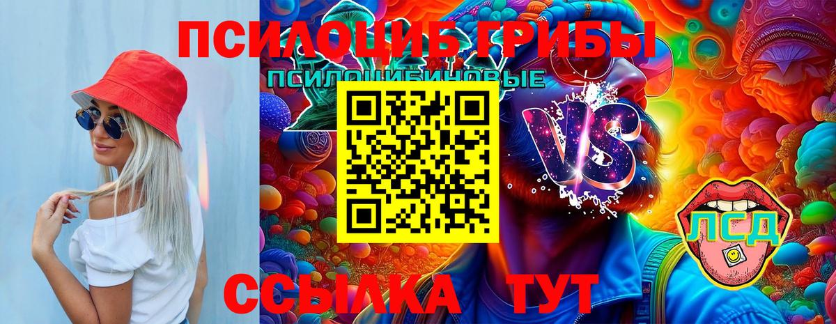 Галлюциногенные грибы Psilocybine cubensis  Псилоцибиновые грибы Psilocybe  Касимов  сколько стоит  Вход с VPN 