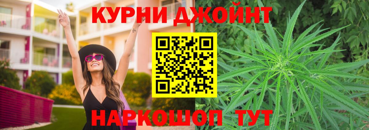 Канабис конопля Касимов